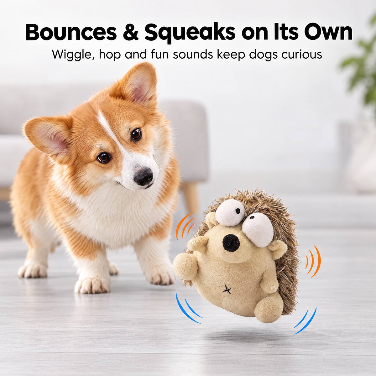 Corgi watching the interactive hedgehog toy bounce and make sounds on its own